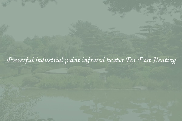 Powerful industrial paint infrared heater For Fast Heating