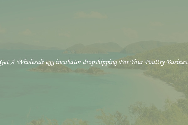 Get A Wholesale egg incubator dropshipping For Your Poultry Business