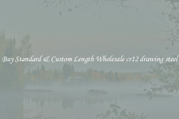 Buy Standard & Custom Length Wholesale cr12 drawing steel