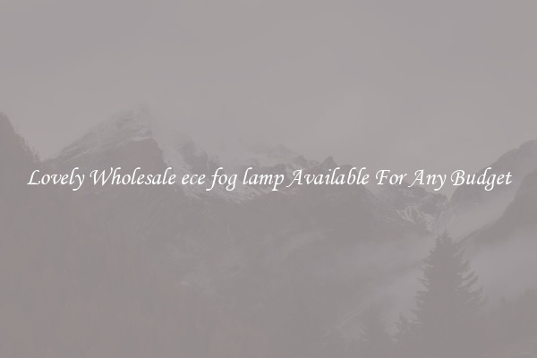 Lovely Wholesale ece fog lamp Available For Any Budget