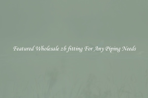 Featured Wholesale zb fitting For Any Piping Needs