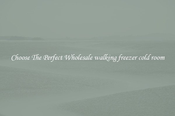 Choose The Perfect Wholesale walking freezer cold room