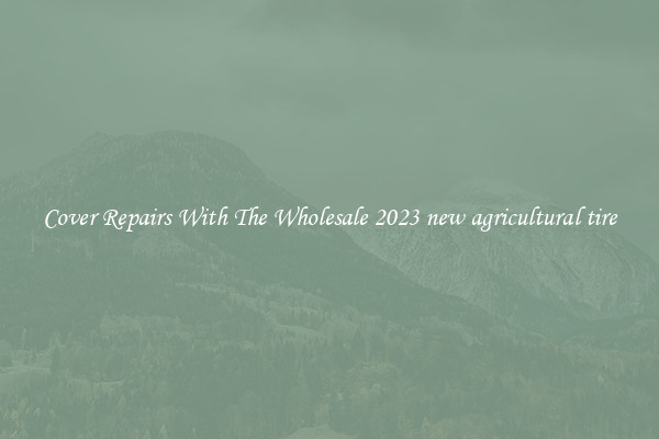  Cover Repairs With The Wholesale 2023 new agricultural tire 