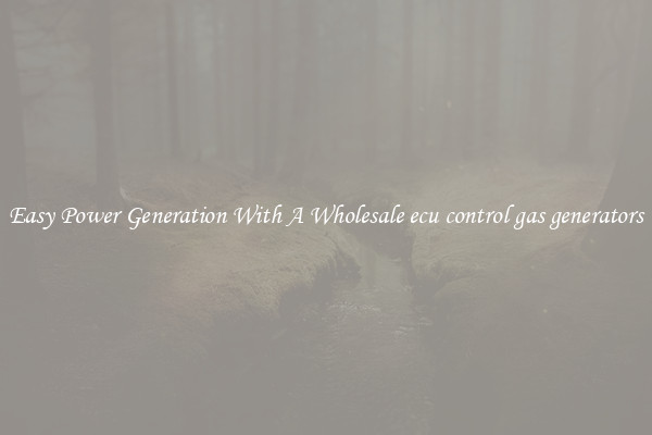 Easy Power Generation With A Wholesale ecu control gas generators
