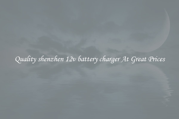Quality shenzhen 12v battery charger At Great Prices