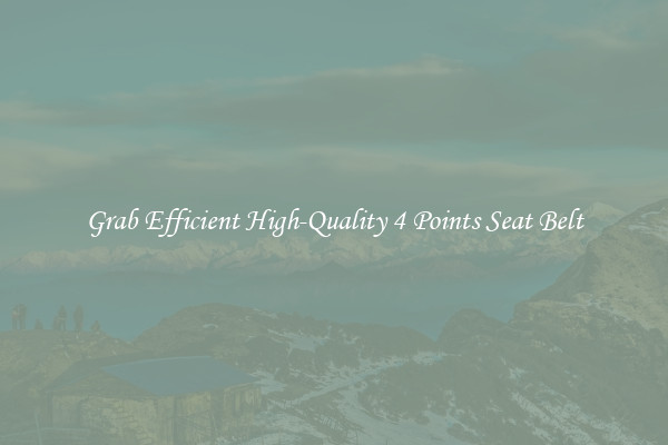 Grab Efficient High-Quality 4 Points Seat Belt