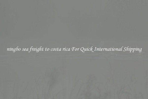 ningbo sea freight to costa rica For Quick International Shipping