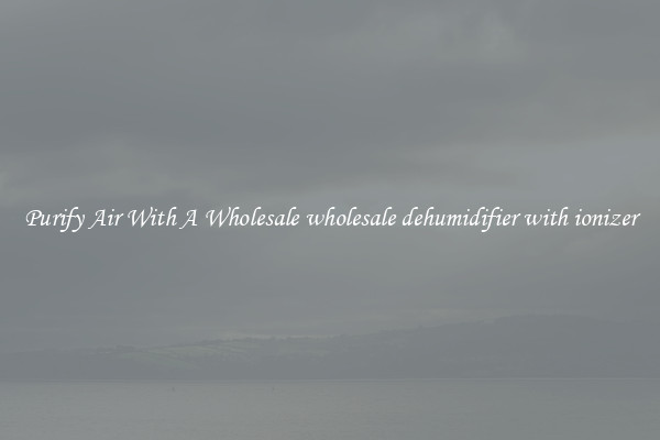 Purify Air With A Wholesale wholesale dehumidifier with ionizer