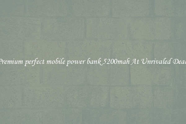 Premium perfect mobile power bank 5200mah At Unrivaled Deals