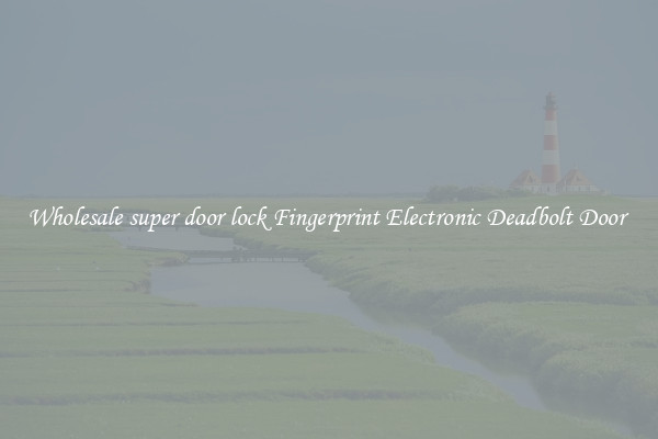 Wholesale super door lock Fingerprint Electronic Deadbolt Door 