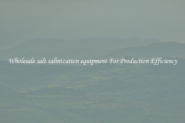 Wholesale salt salinization equipment For Production Efficiency